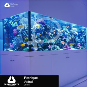 Petrique - Astral [WDR066]